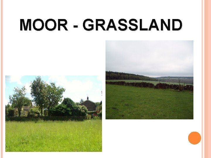 MOOR - GRASSLAND 