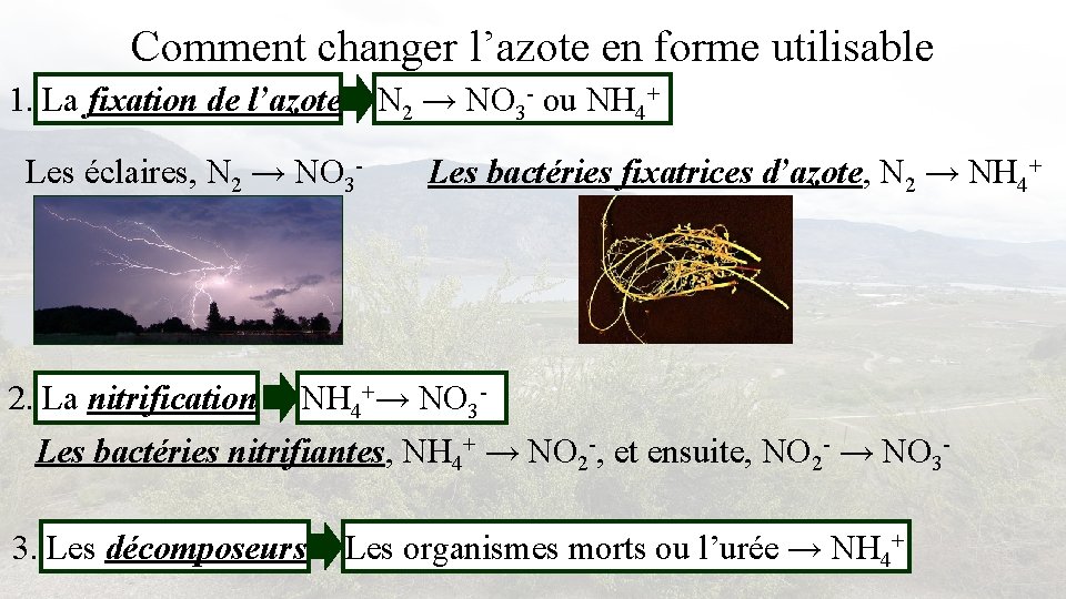 Comment changer l’azote en forme utilisable N 2 → NO 3 - ou NH