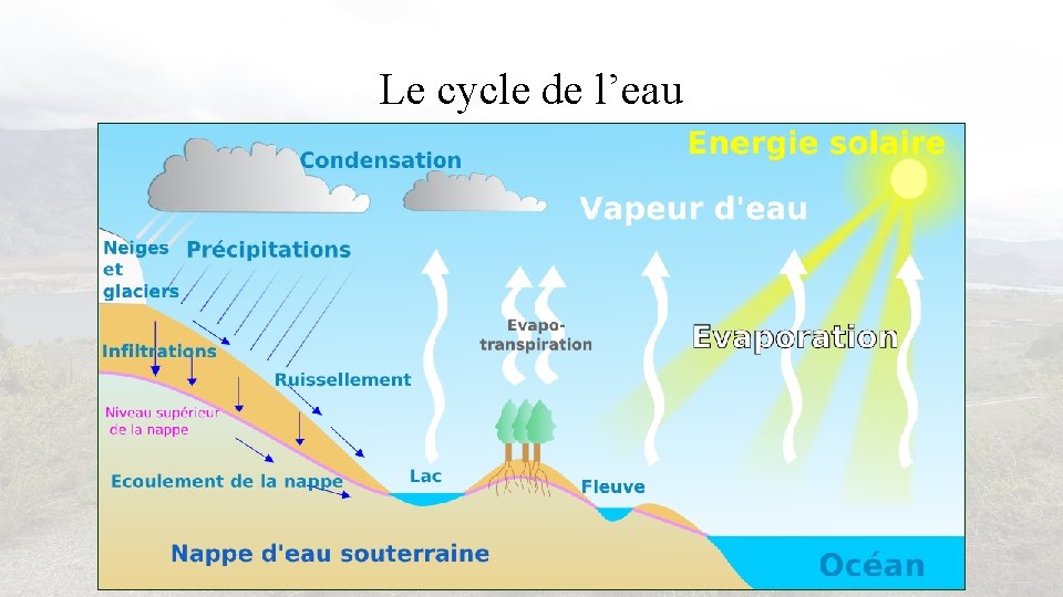 Le cycle de l’eau 