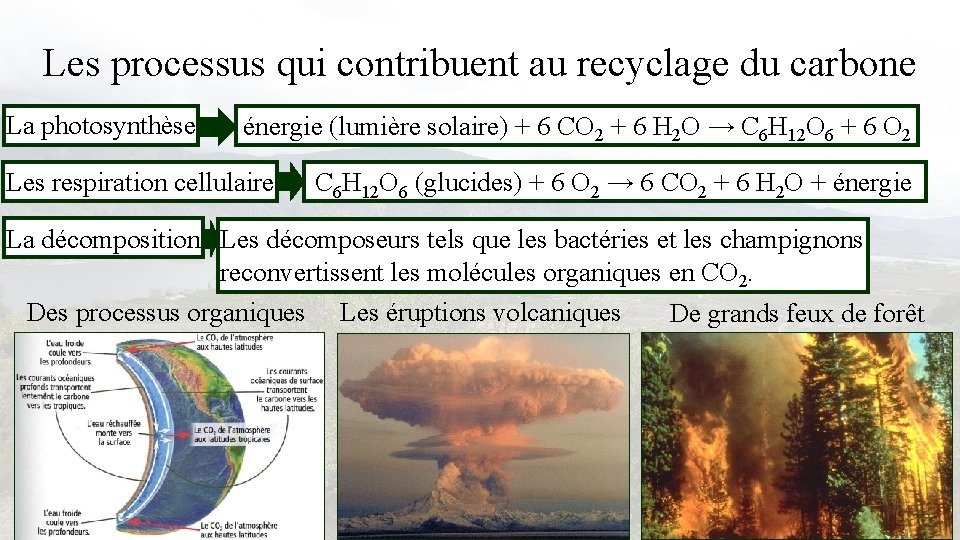 Les processus qui contribuent au recyclage du carbone La photosynthèse énergie (lumière solaire) +