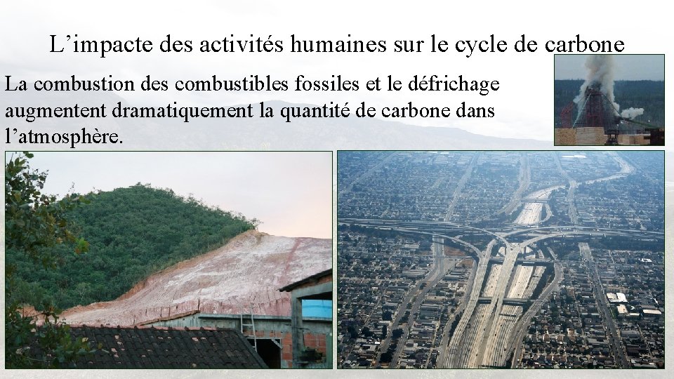 L’impacte des activités humaines sur le cycle de carbone La combustion des combustibles fossiles