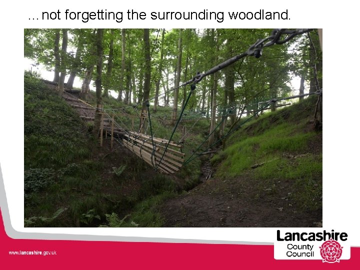 …not forgetting the surrounding woodland. 