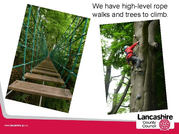 We have high-level rope walks and trees to climb. 