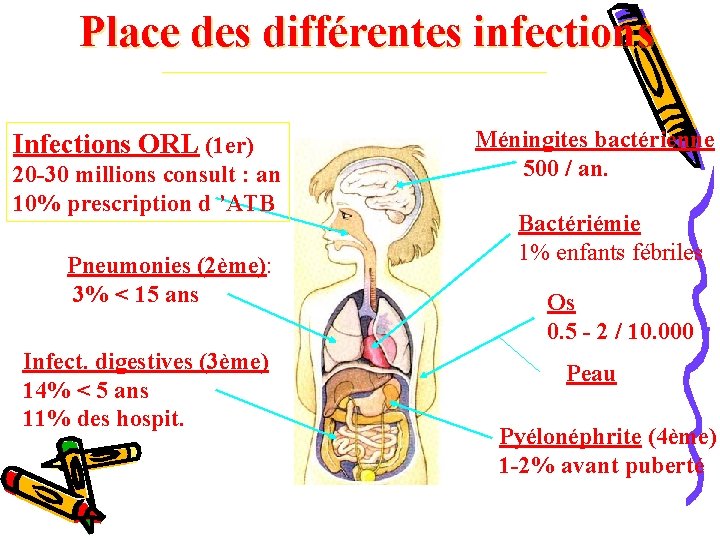 Place des différentes infections Infections ORL (1 er) 20 -30 millions consult : an