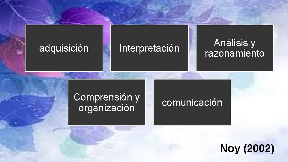 adquisición Interpretación Comprensión y organización Análisis y razonamiento comunicación Noy (2002) 