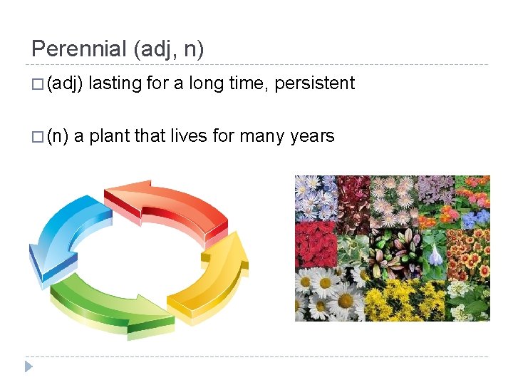 Perennial (adj, n) � (adj) � (n) lasting for a long time, persistent a