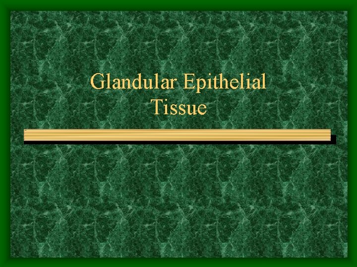 Glandular Epithelial Tissue 