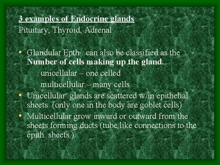 3 examples of Endocrine glands Pituitary, Thyroid, Adrenal • Glandular Epth. can also be