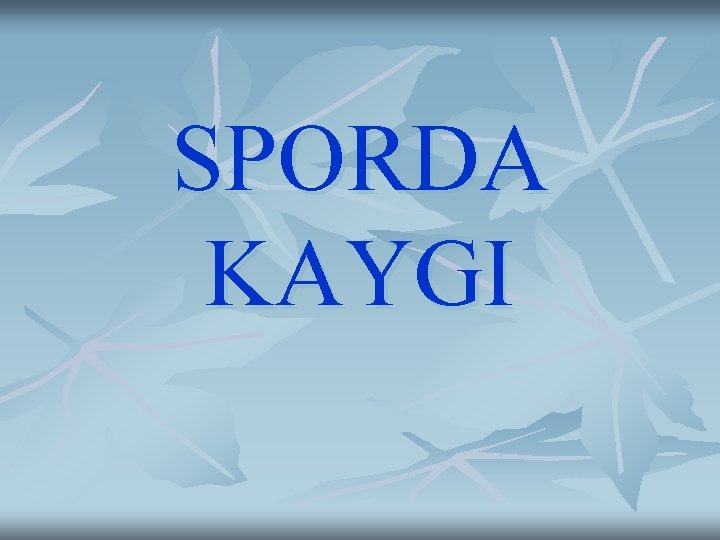 SPORDA KAYGI 