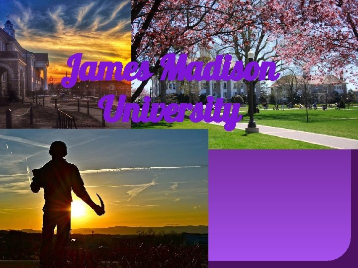 James Madison University 