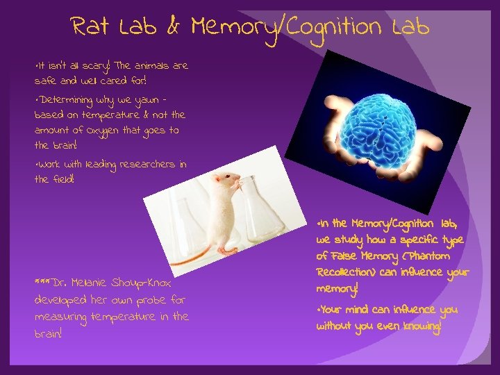 Rat Lab & Memory/Cognition Lab • It isn’t all scary! The animals are safe