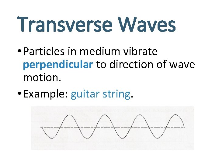 Transverse Waves • Particles in medium vibrate perpendicular to direction of wave motion. •