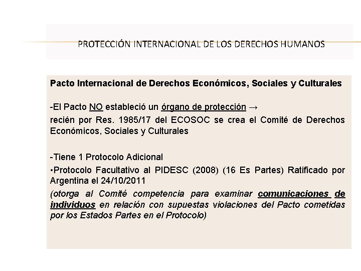 Proteccin Internacional de los Derechos Humanos y control