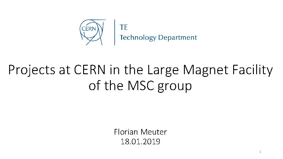 Projects at CERN in the Large Magnet Facility of the MSC group Florian Meuter Projects at CERN in the Large Magnet Facility of the MSC group Florian Meuter