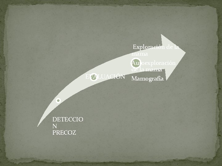 Exploración de la mama Autoexploración de la mama EVALUACIÓN Mamografía DETECCIO N PRECOZ 