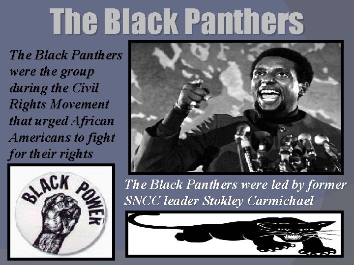 The Black Panthers were the group during the Civil Rights Movement that urged African