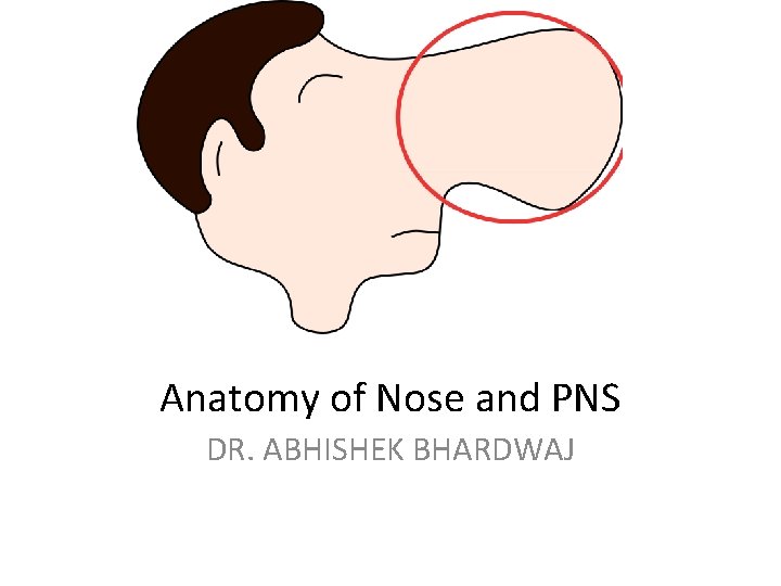 Anatomy of Nose and PNS DR. ABHISHEK BHARDWAJ 