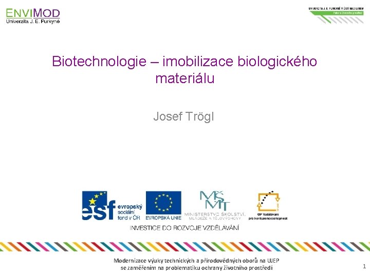 Biotechnologie – imobilizace biologického materiálu Josef Trögl Modernizace výuky technických a přírodovědných oborů na