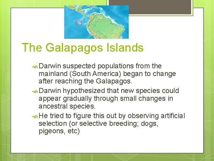 The Galapagos Islands Darwin suspected populations from the mainland (South America) began to change The Galapagos Islands Darwin suspected populations from the mainland (South America) began to change
