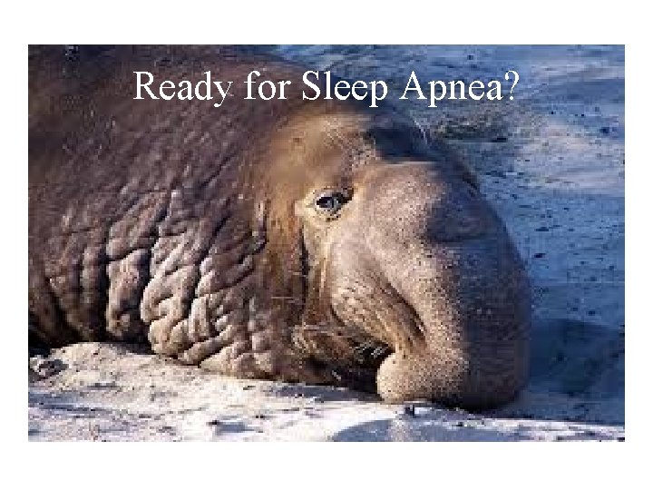 Ready for Sleep Apnea? 