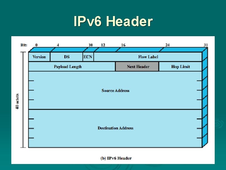 IPv 6 Header 