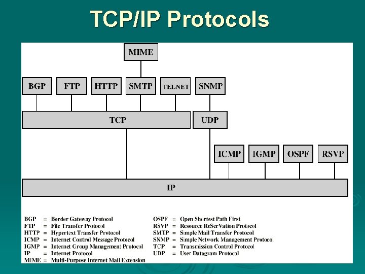 TCP/IP Protocols 