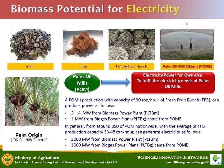 Biomass Potential for Electricity 15 