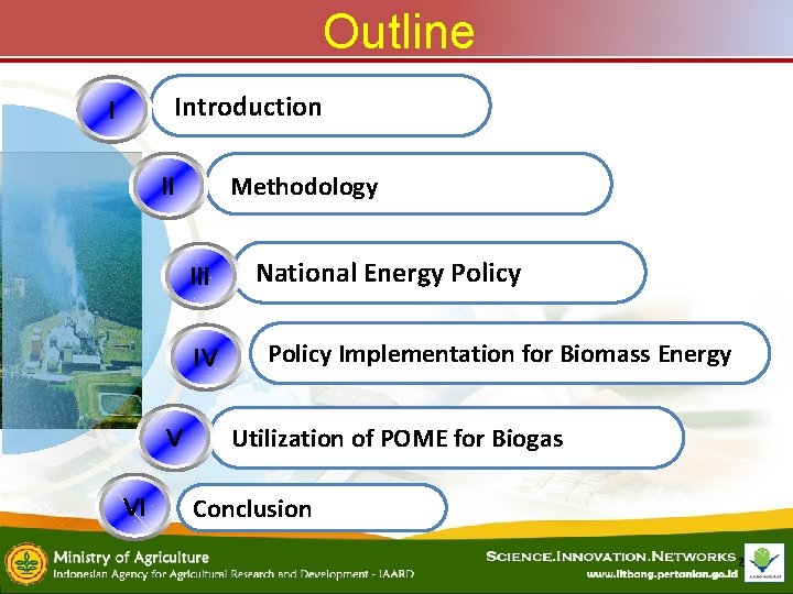 Outline Introduction I Methodology II IV V VI National Energy Policy Implementation for Biomass