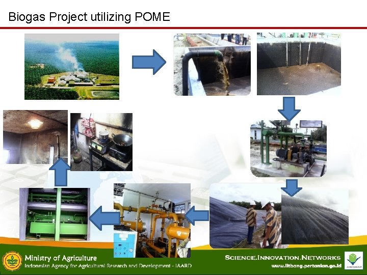 Biogas Project utilizing POME 