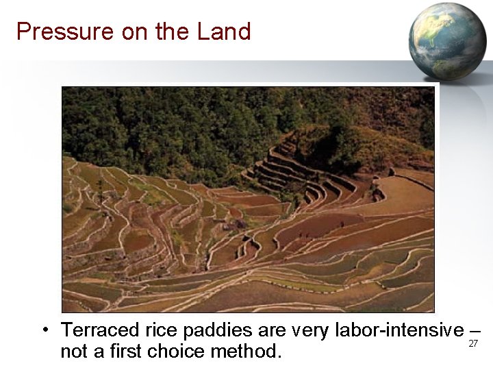 Pressure on the Land • Terraced rice paddies are very labor-intensive – 27 not