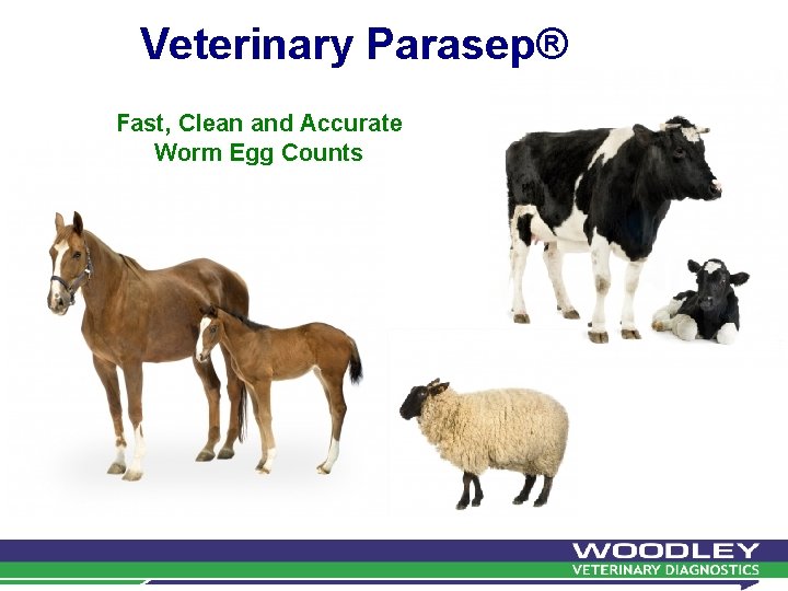 Veterinary Parasep® Fast, Clean and Accurate Worm Egg Counts 