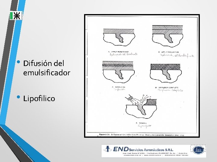  • Difusión del emulsificador • Lipofilico 