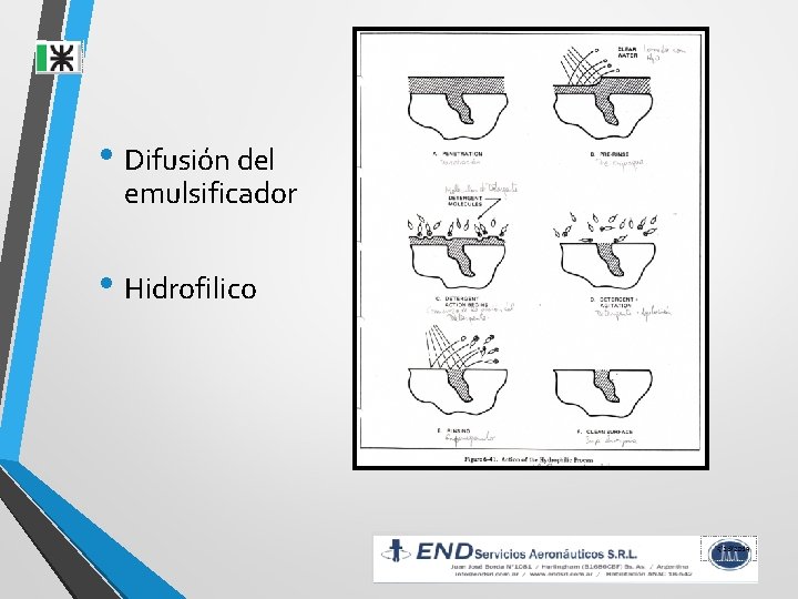  • Difusión del emulsificador • Hidrofilico 