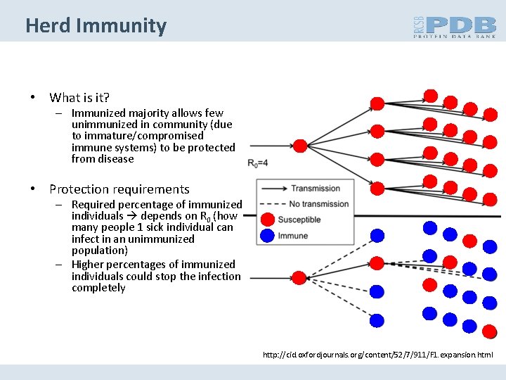 Herd Immunity • What is it? – Immunized majority allows few unimmunized in community