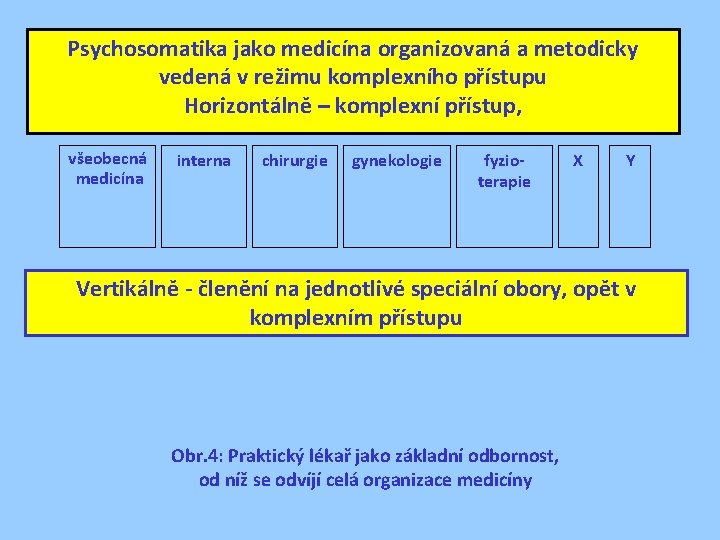 Psychosomatika jako medicína organizovaná a metodicky vedená v režimu komplexního přístupu Horizontálně – komplexní