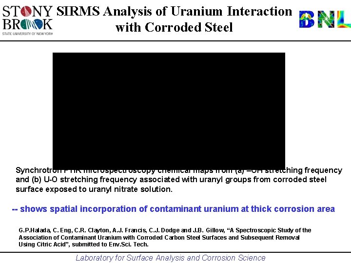 SIRMS Analysis of Uranium Interaction with Corroded Steel Synchrotron FTIR microspectroscopy chemical maps from