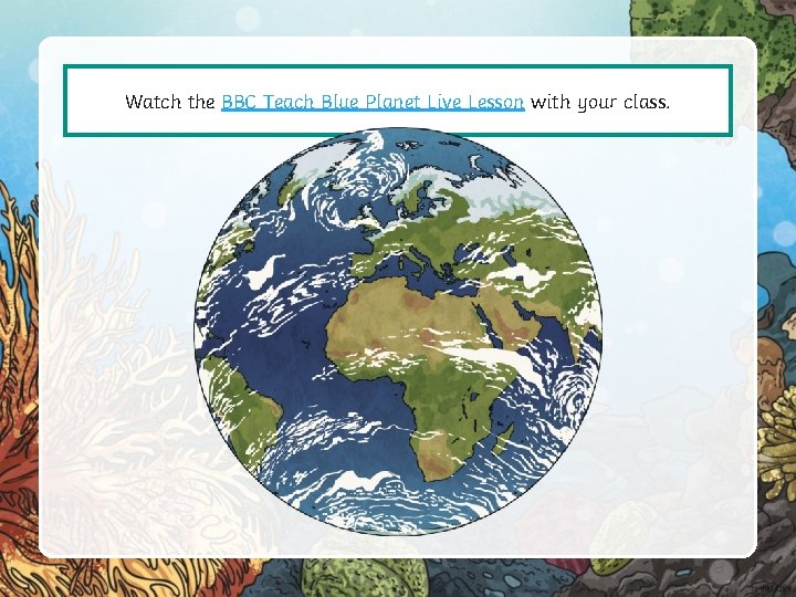Watch the BBC Teach Blue Planet Live Lesson with your class. 