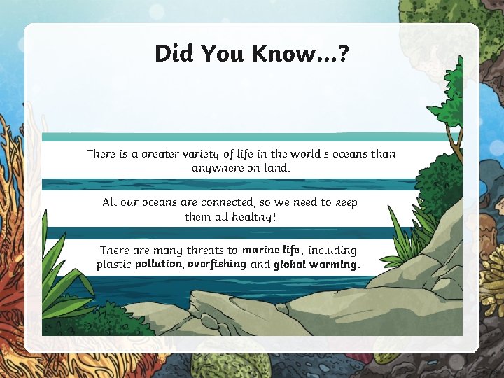 Did You Know…? There is a greater variety of life in the world’s oceans