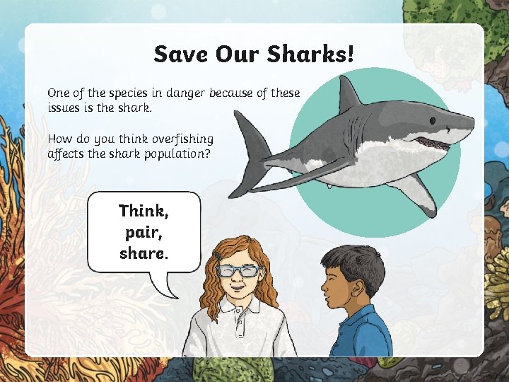 Save Our Sharks! One of the species in danger because of these issues is