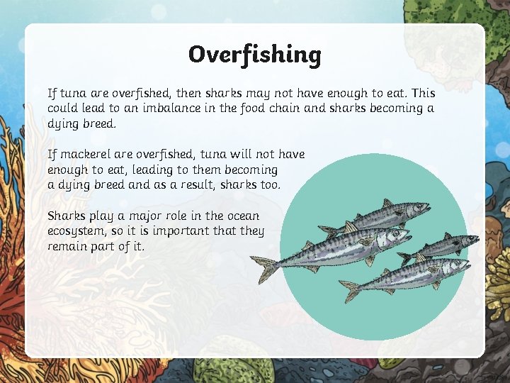 Overfishing If tuna are overfished, then sharks may not have enough to eat. This