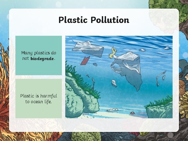 Plastic Pollution Many plastics do not biodegrade Plastic is harmful to ocean life. 