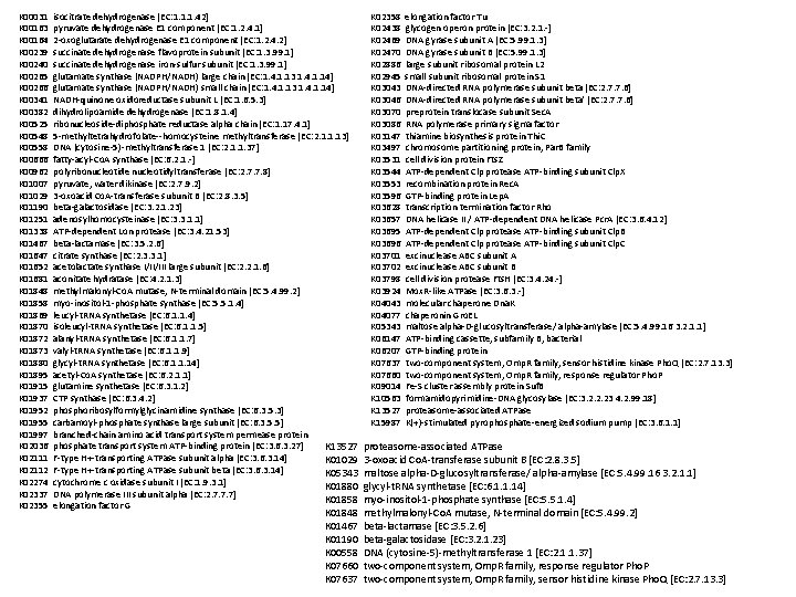 K 00031 K 00163 K 00164 K 00239 K 00240 K 00265 K 00266