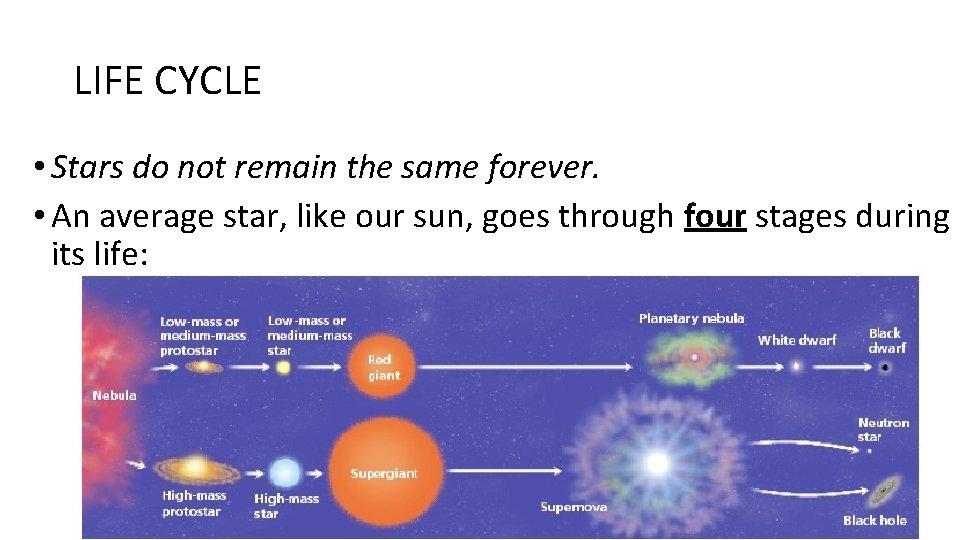 LIFE CYCLE • Stars do not remain the same forever. • An average star,