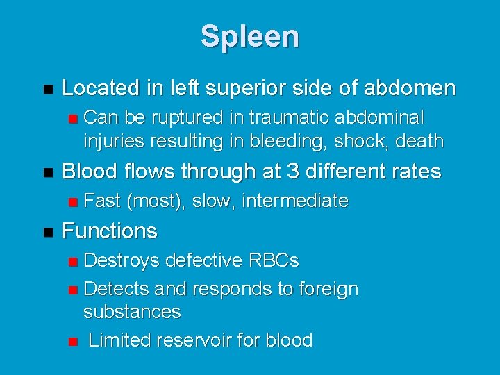 Spleen n Located in left superior side of abdomen n n Blood flows through