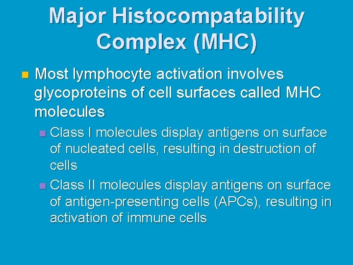 Major Histocompatability Complex (MHC) n Most lymphocyte activation involves glycoproteins of cell surfaces called