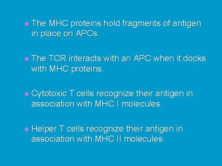 n The MHC proteins hold fragments of antigen in place on APCs. n The
