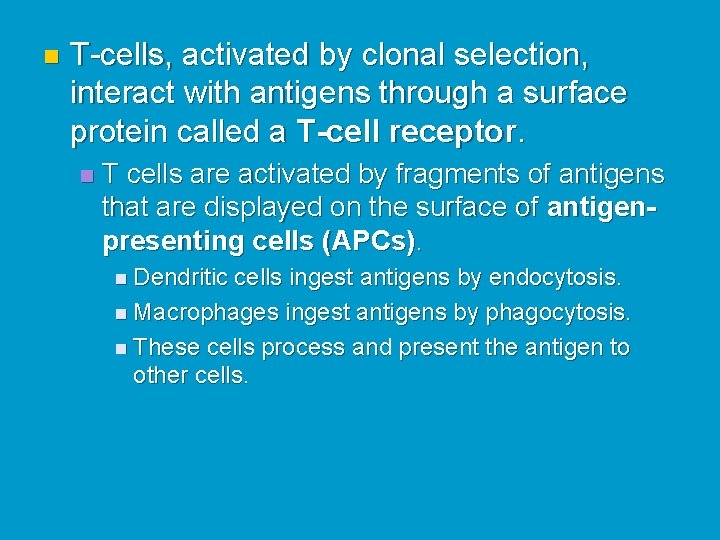 n T-cells, activated by clonal selection, interact with antigens through a surface protein called