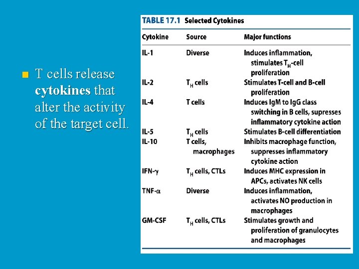 n T cells release cytokines that alter the activity of the target cell. 