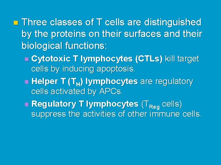 n Three classes of T cells are distinguished by the proteins on their surfaces