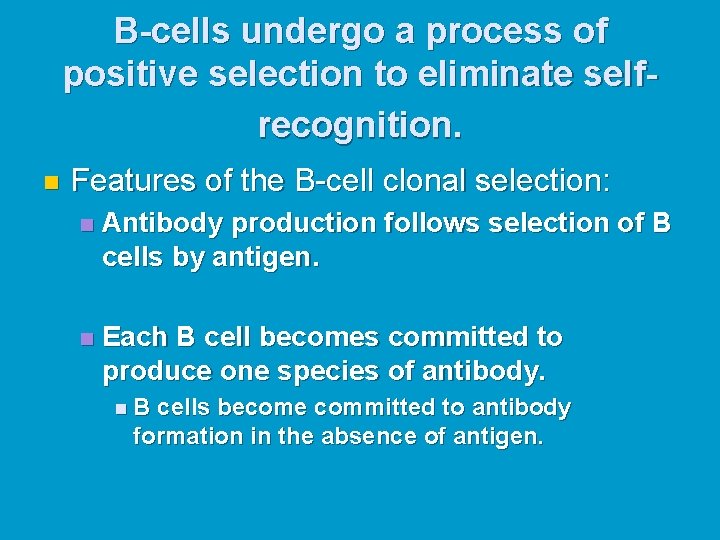B-cells undergo a process of positive selection to eliminate selfrecognition. n Features of the